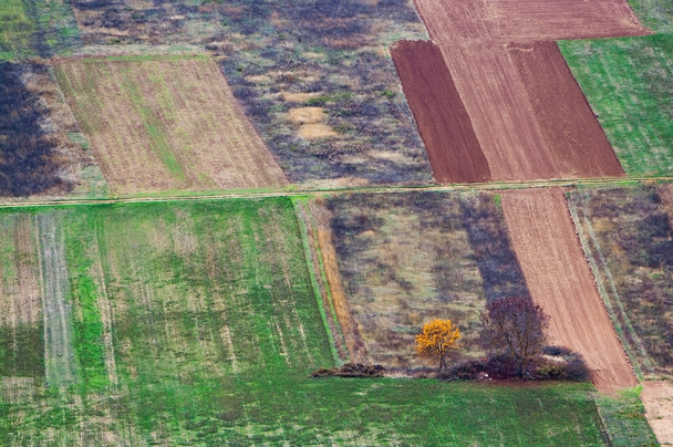 terras cultivadas em abruzzo
 - Foto, Imagem