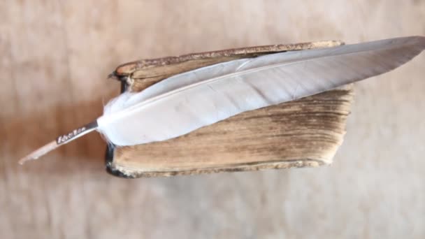 Education word,  feather and old book - Footage, Video