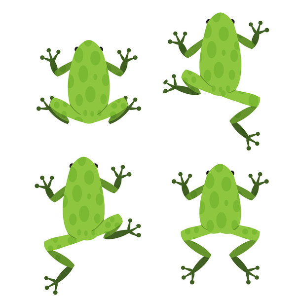 Joukko vihreä sammakko tasainen tyyli kuvio
 - Vektori, kuva