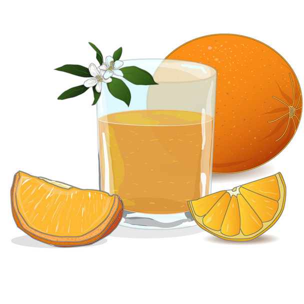 sok pomarańczowy i plastry - Wektor, obraz