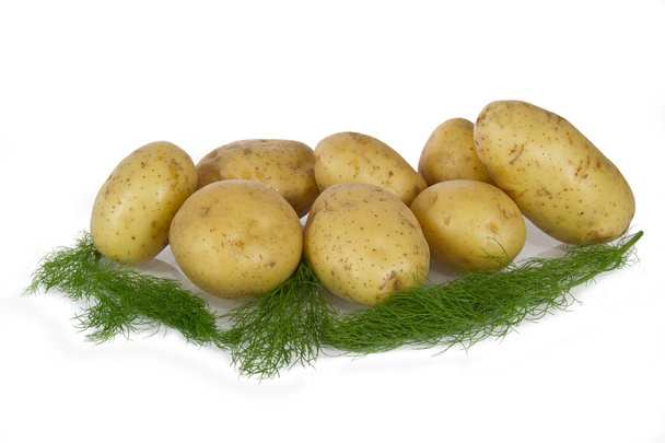 Potatoes on white background - Photo, image