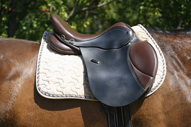 Black and brown leather saddle on back of a horse - Photo, Image