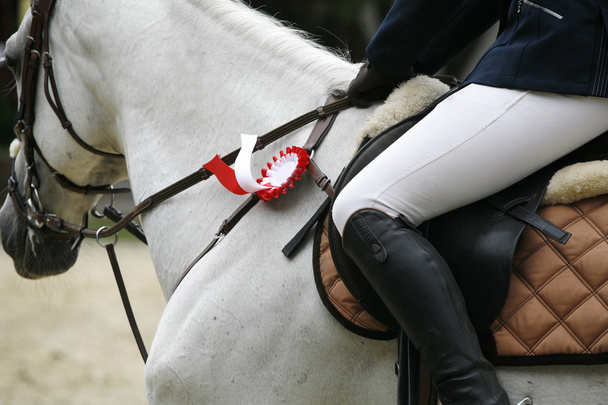  Kaunis palkittu hevonen laukkaamassa areenalla
 - Valokuva, kuva