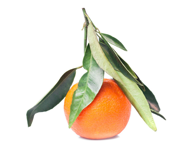 Tangerine isolated on white - Foto, afbeelding