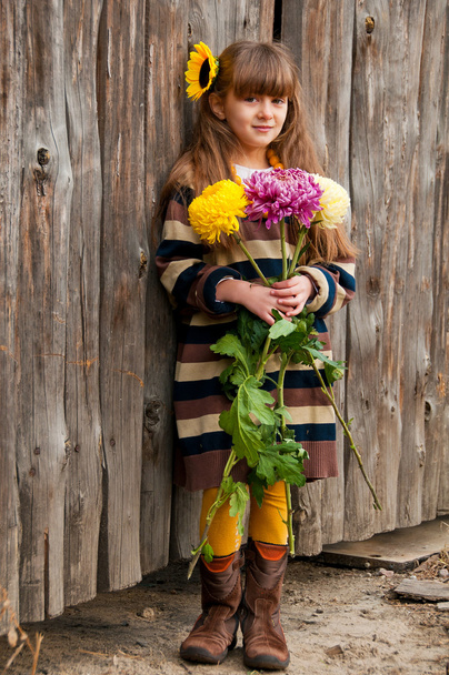 A girl with a bouquet of chrysanthemums against a wooden fence. - 写真・画像