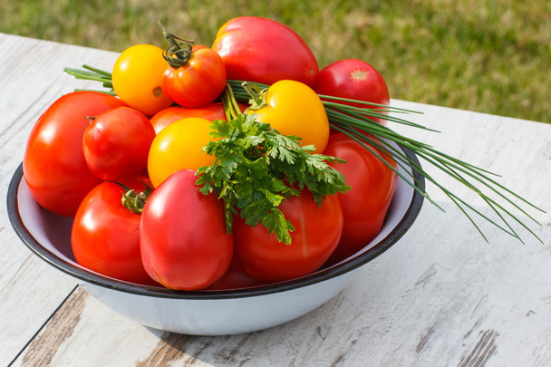 Tomatoes in metal bowl with green parsley and chives in garden on sunny day - Фото, изображение
