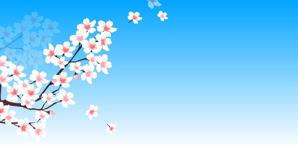 Cherry spring flower background - Vektori, kuva