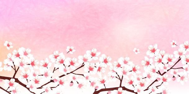 Cseresznye tavaszi virágot háttér - Vektor, kép