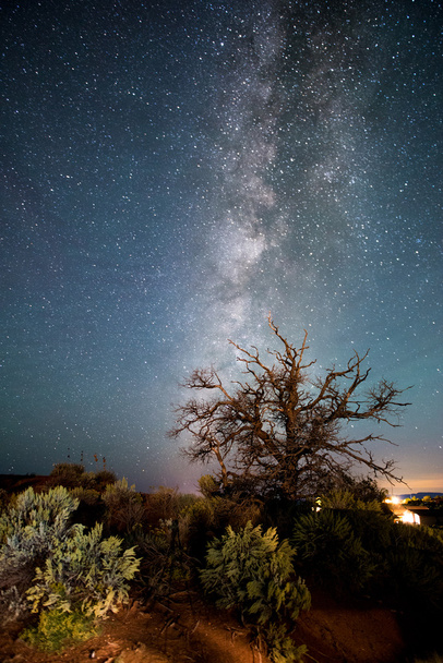 Vía Láctea en la noche oscura
 - Foto, imagen