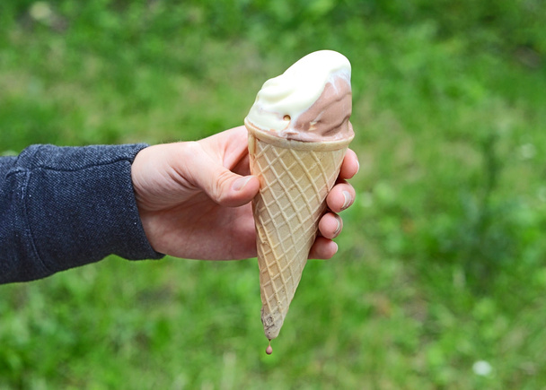 Ice cream in hand - Fotografie, Obrázek