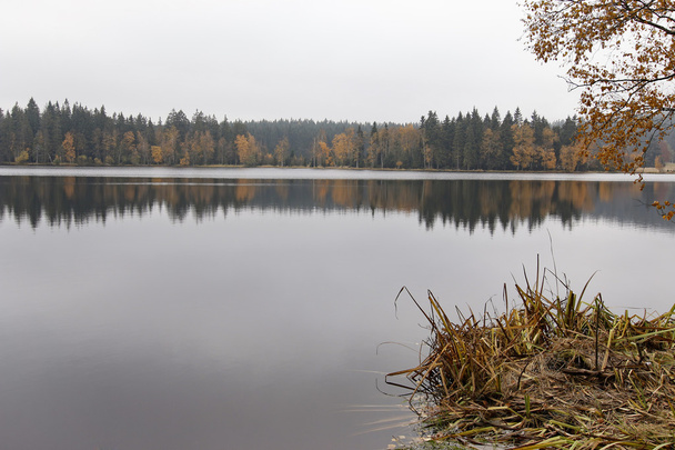 Озеро и осенний лес
 - Фото, изображение