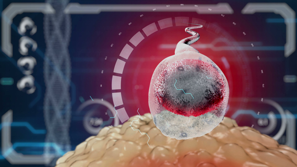 Spermien befruchtet das Spermatozoon die Eizelle. medizinische Konzept anatomische Zukunft. hud futuristischen Hintergrund. - Filmmaterial, Video