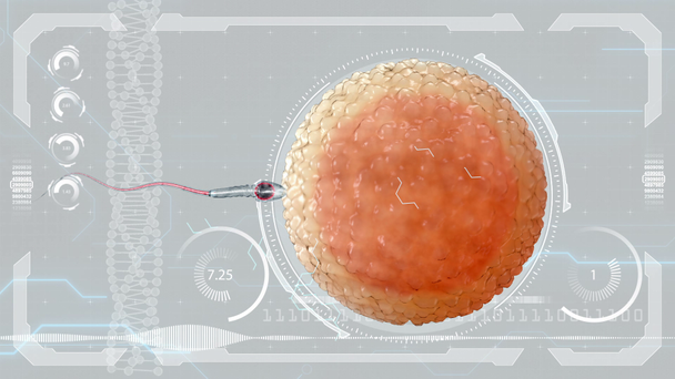 Spermatozoo, spermatozoo fertilizza l'ovulo cellulare. Concetto medico futuro anatomico. HUD sfondo futuristico
. - Filmati, video