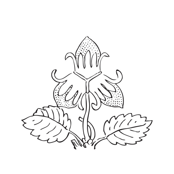 Ilustración dibujada a mano de arbustos de fresa vector
. - Vector, Imagen