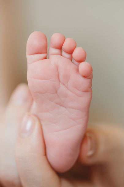 Children's legs on a mother's palm - Photo, Image