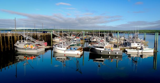 Barche nel porto con bassa marea a Digby, Nuova Scozia
. - Foto, immagini