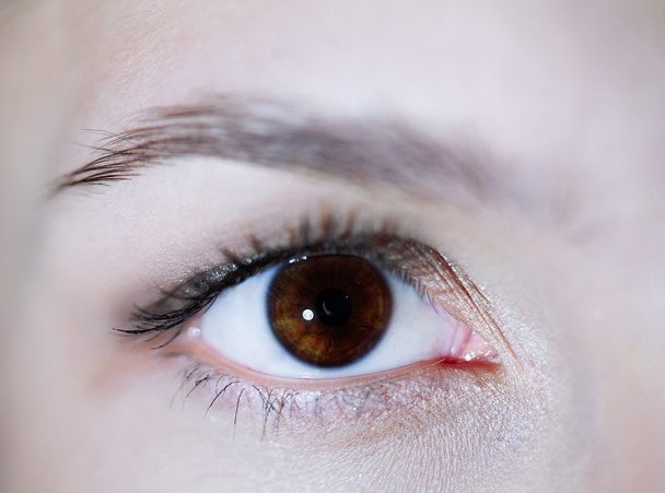 Hermoso ojo marrón de la mujer de cerca
  - Foto, Imagen