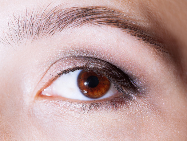 Beautiful woman's brown eye close up - Foto, immagini