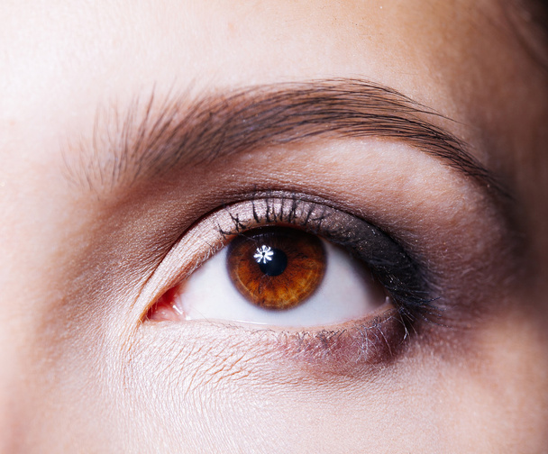 Hermoso ojo marrón de la mujer de cerca
 - Foto, Imagen