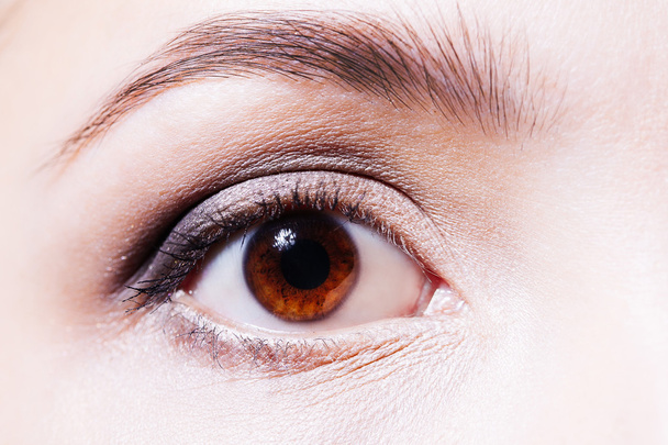 Beautiful woman's brown eye close up - Foto, Imagem