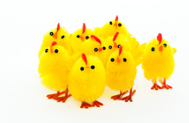 Grupo de pollos de Pascua
 - Foto, imagen