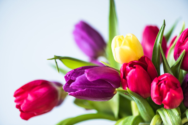 Fresh spring bunch of tulips - Zdjęcie, obraz