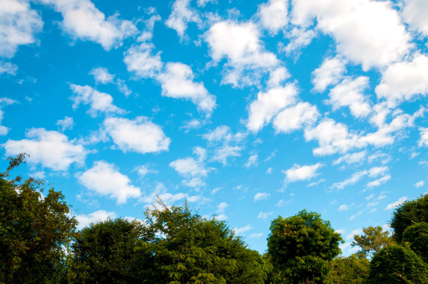 Fehér felhők és kék ég - Fotó, kép