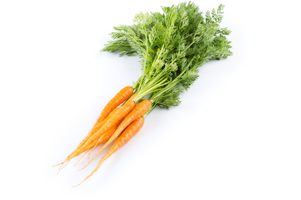 fresh carrots isolated on white background - 写真・画像