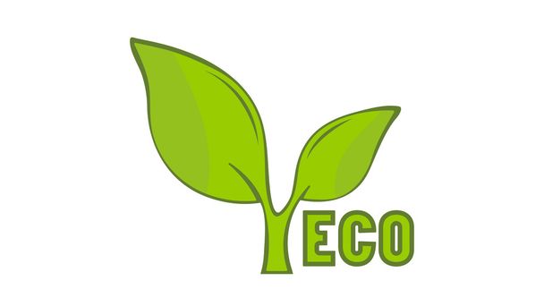 ekologia liść zielony ikona wektor bio natura organiczny element  - Wektor, obraz