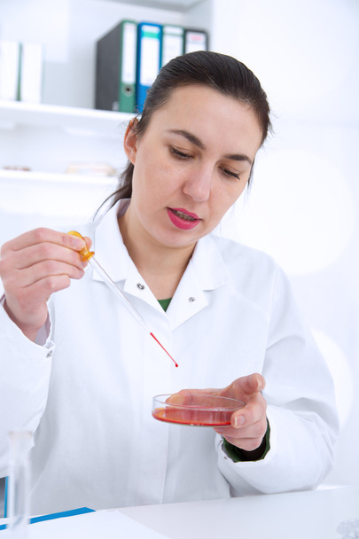 Young Female Scientist Analyzing Sample In Laboratory.laboratory assistant analyzing a sample. - Φωτογραφία, εικόνα