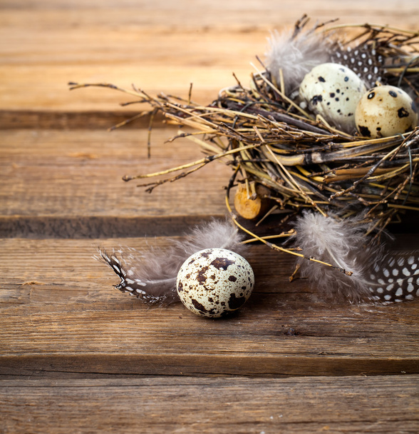 quail eggs with feather on wooden background - Фото, изображение