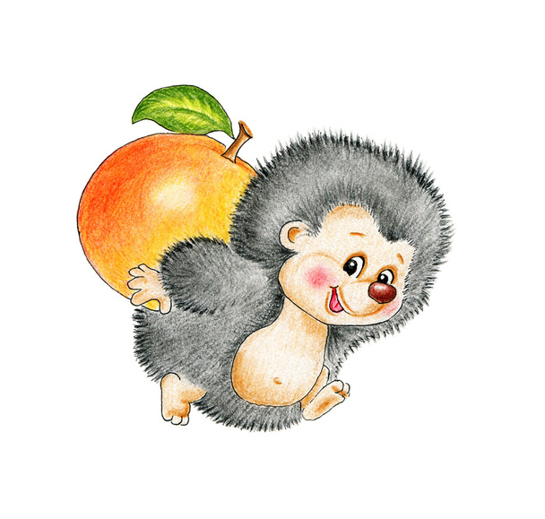 Cute hedgehog with apple - Фото, зображення
