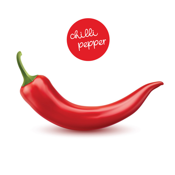 Red chilli pepper - Vector, Image
