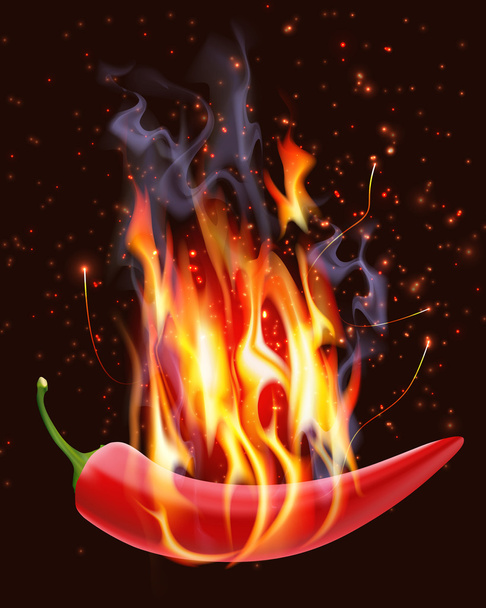 Égő, Chili paprika - Vektor, kép