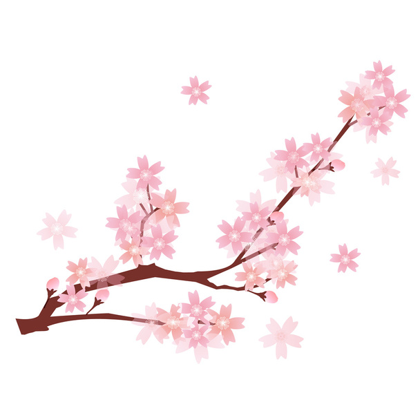 Cherry voorjaar bloem achtergrond - Vector, afbeelding