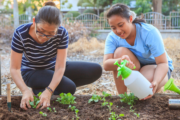 mãe e filha plantando vegetais em casa jardim fiel
 - Foto, Imagem