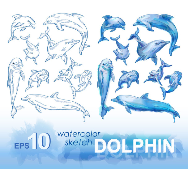 potlood schetsen van dolfijnen - Vector, afbeelding