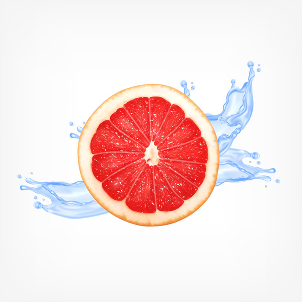 Grapefruity plátek s vodou - Vektor, obrázek