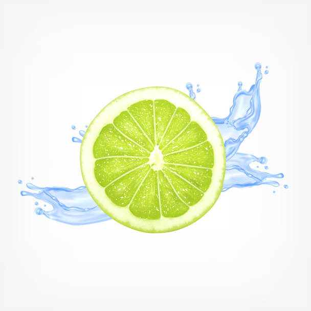 Lime slice with water - Vector, Image