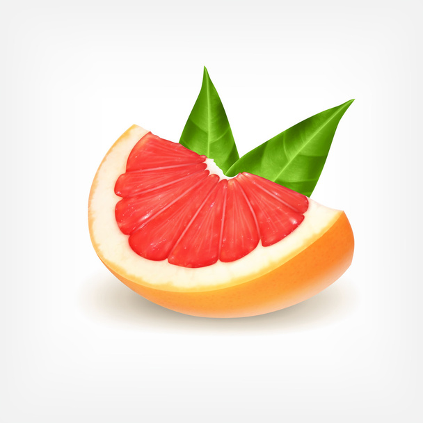 Slice of fresh grapefruit - Vector, Image