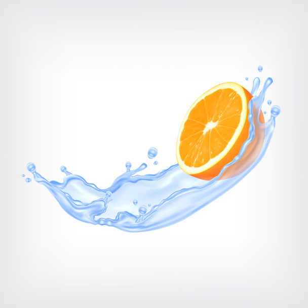 Appelsiinihedelmät veden kanssa
 - Vektori, kuva