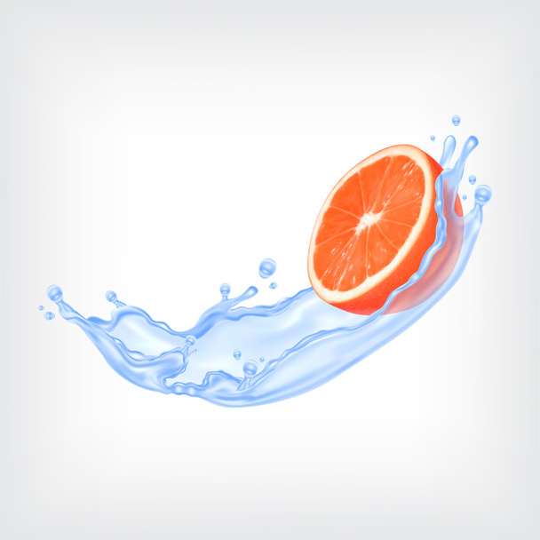 Grapefruit met water - Vector, afbeelding