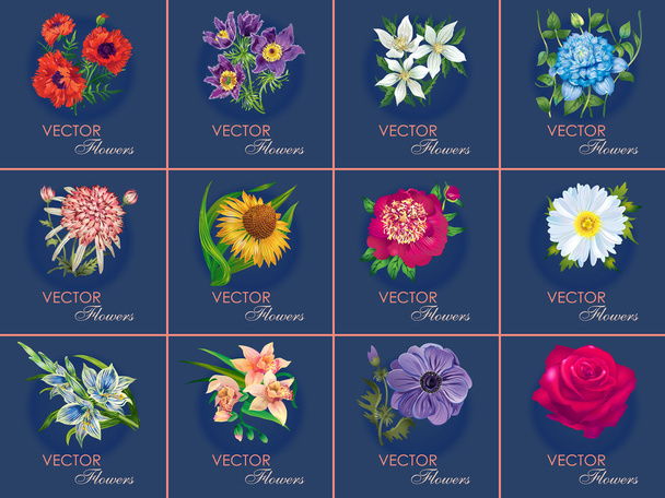 Dwanaście wariantów Kartki kwiatkowe - Wektor, obraz