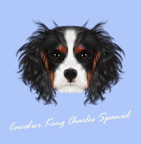 Vector illustrated portrait of Dog - Vector, Image