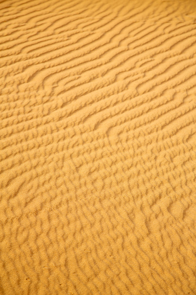  коричнева піщана дюна в марокканській пустелі
  - Фото, зображення