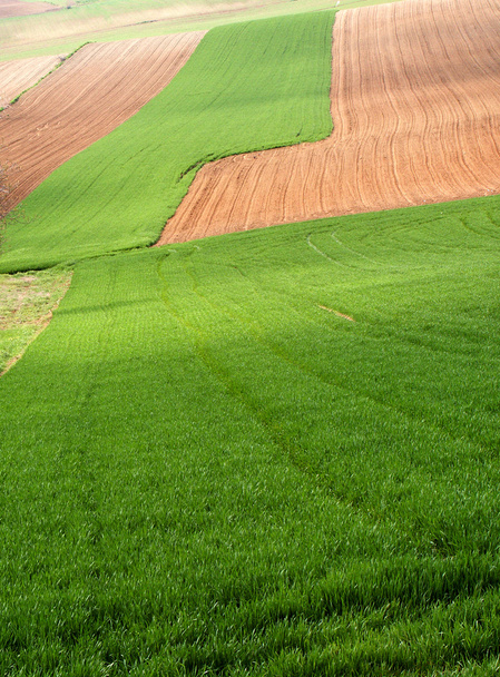 Paisagem de colina com campos
 - Foto, Imagem