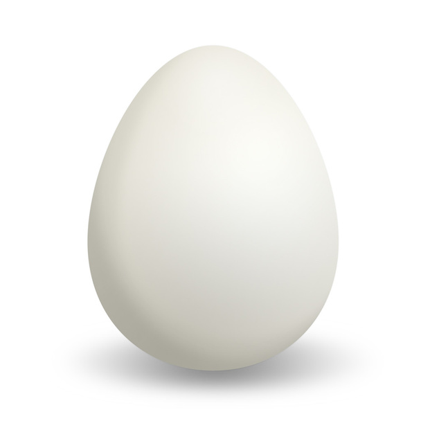 Duck egg - Foto, afbeelding