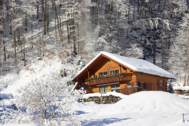 Winter in alps - Фото, изображение