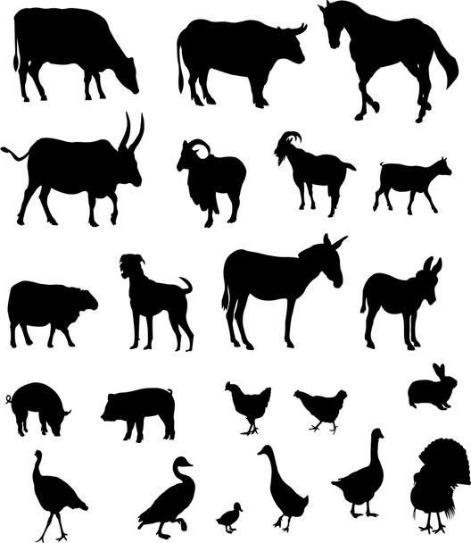 Коллекция сельскохозяйственных животных - вектор
 - Вектор,изображение