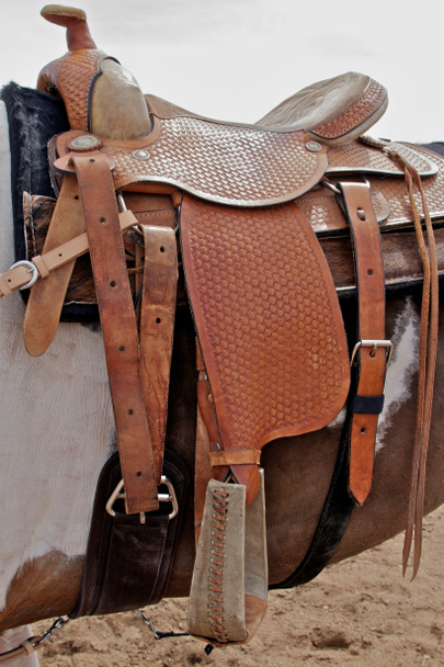 koně s western sedlo - Fotografie, Obrázek
